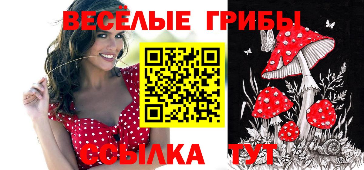 Гусев  магазин продажи наркотиков  Вход с VPN  Псилоцибиновые грибы мицелий  Галлюциногенные грибы мицелий 